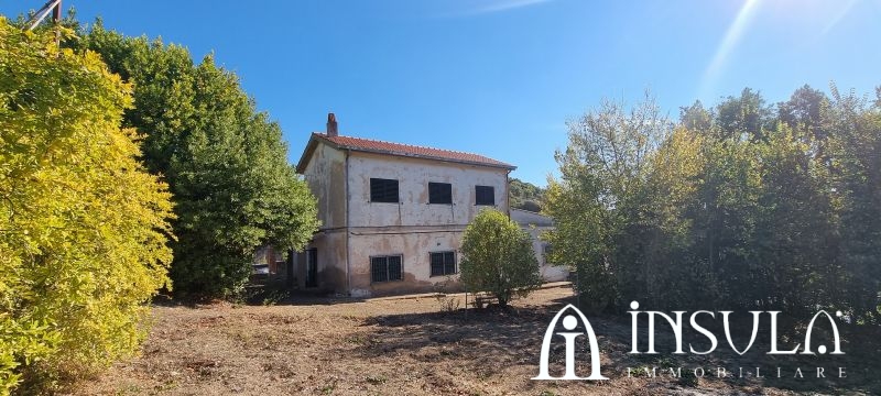 Clicca per ingrandire la foto